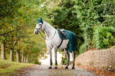 Horseware Ireland Amigo Jersey Cooler Dynasty Green / Navy & Silver| Online For Equine