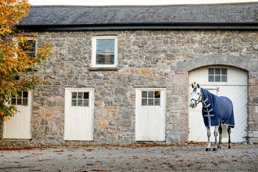 Horseware Ireland Amigo Jersey Integrated Cooler| Online For Equine