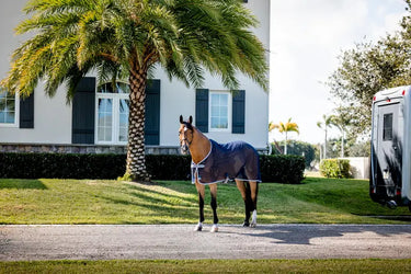 Horseware Ireland Amigo Net Cooler| Online For Equine