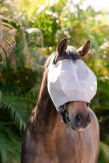 Horseware Ireland Amigo No Ears Flymask| Online For Equine