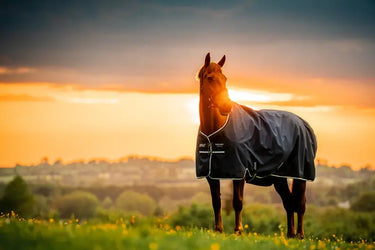 Horseware Ireland Amigo Ripstop 900D Fleece Lined Turnout Rug 50G Witney Navy| Online For Equine