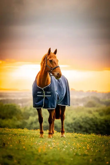 Horseware Ireland Amigo Ripstop 900D Fleece Lined Turnout Rug 50G Witney Navy| Online For Equine