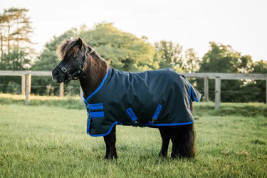 Horseware Ireland Amigo Ripstop 900D Petite Turnout Rug 0G| Online For Equine