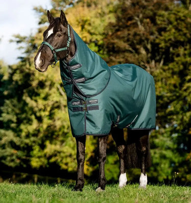Horseware Ireland Amigo Ripstop 900D Plus Pony Turnout Rug 0G Dynasty Green / Navy & Silver| Online For Equine