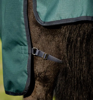 Horseware Ireland Amigo Ripstop 900D Plus Pony Turnout Rug 0G Dynasty Green / Navy & Silver| Online For Equine