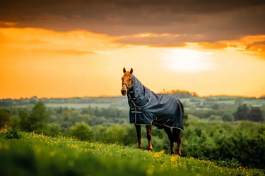 Horseware Ireland Amigo Ripstop 900D Plus Pony Turnout Rug 0G Witney Navy| Online For Equine