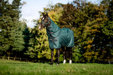 Horseware Ireland Amigo Ripstop 900D Plus Pony Turnout Rug 100G Dynasty Green / Navy & Silver| Online For Equine