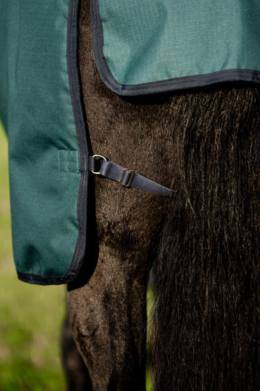 Horseware Ireland Amigo Ripstop 900D Plus Pony Turnout Rug 100G Dynasty Green / Navy & Silver| Online For Equine
