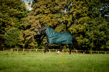 Horseware Ireland Amigo Ripstop 900D Plus Pony Turnout Rug 200G Dynasty Green / Navy & Silver| Online For Equine