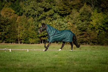Horseware Ireland Amigo Ripstop 900D Plus Pony Turnout Rug 200G Dynasty Green / Navy & Silver| Online For Equine