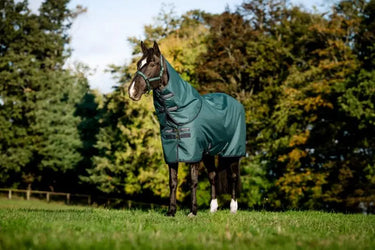 Horseware Ireland Amigo Ripstop 900D Plus Pony Turnout Rug 50G Dynasty Green / Navy & Silver| Online For Equine