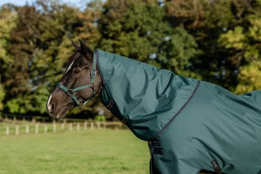 Horseware Ireland Amigo Ripstop 900D Plus Pony Turnout Rug 50G Dynasty Green / Navy & Silver| Online For Equine
