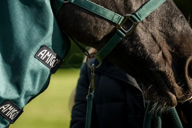 Horseware Ireland Amigo Ripstop 900D Plus Pony Turnout Rug 50G Dynasty Green / Navy & Silver| Online For Equine