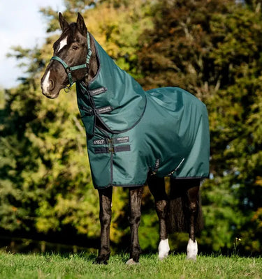 Horseware Ireland Amigo Ripstop 900D Plus Turnout Rug 0G Dynasty Green| Online For Equine