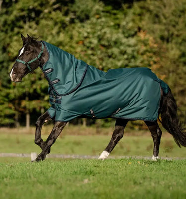 Horseware Ireland Amigo Ripstop 900D Plus Turnout Rug 0G Dynasty Green| Online For Equine