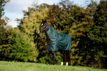 Horseware Ireland Amigo Ripstop 900D Plus Turnout Rug 100G Dynasty Green / Navy & Silver| Online For Equine