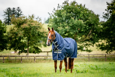 Horseware Ireland Amigo Ripstop 900D Plus Turnout Rug 100G Navy / Titanium Grey| Online For Equine