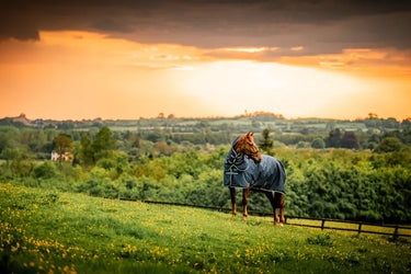 Horseware Ireland Amigo Ripstop 900D Plus Turnout Rug 100G Witney Navy| Online For Equine