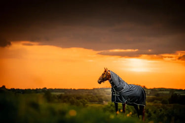 Horseware Ireland Amigo Ripstop 900D Plus Turnout Rug 100G Witney Navy| Online For Equine