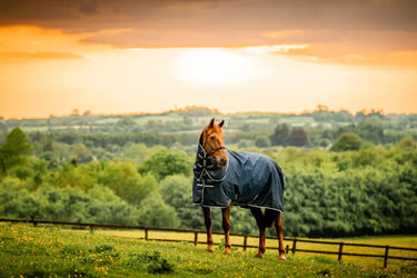 Horseware Ireland Amigo Ripstop 900D Plus Turnout Rug 100G Witney Navy| Online For Equine