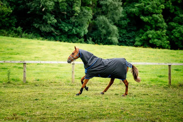 Horseware Ireland Amigo Ripstop 900D Plus Turnout Rug 200G Black / Classic Blue| Online For Equine