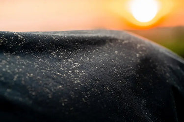 Horseware Ireland Amigo Ripstop 900D Plus Turnout Rug 200G Black / Classic Blue| Online For Equine