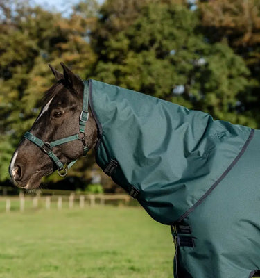 Horseware Ireland Amigo Ripstop 900D Plus Turnout Rug 200G Dynasty Green / Navy & Silver| Online For Equine