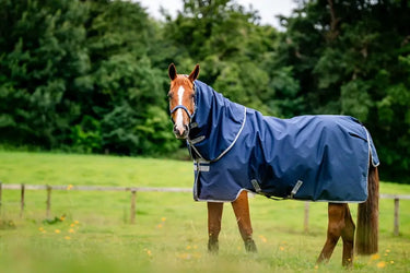 Horseware Ireland Amigo Ripstop 900D Plus Turnout Rug 200G Navy / Titanium Grey| Online For Equine