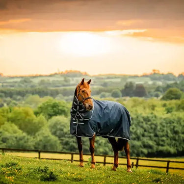 Horseware Ireland Amigo Ripstop 900D Plus 100g Pony Turnout Rug| Online For Equine