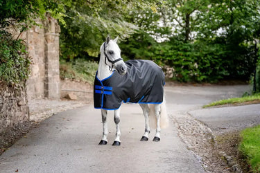 Horseware Ireland Amigo Ripstop 900D Pony Turnout Rug 50G Black / Classic Blue| Online For Equine