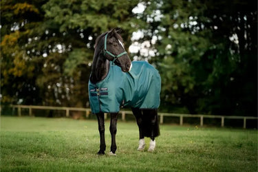 Horseware Ireland Amigo Ripstop 900D Pony Turnout Rug 50G Dynasty Green / Navy & Silver| Online For Equine