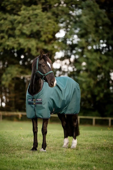 Horseware Ireland Amigo Ripstop 900D Pony Turnout Rug 50G Dynasty Green / Navy & Silver| Online For Equine