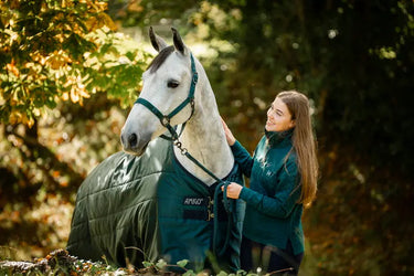 Horseware Ireland Amigo Ripstop 900D Turnout Rug 0G Dynasty Green| Online For Equine