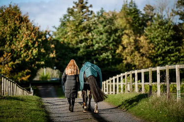 Horseware Ireland Amigo Ripstop 900D Turnout Rug 0G Dynasty Green| Online For Equine