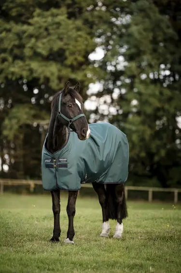 Horseware Ireland Amigo Ripstop 900D Turnout Rug 50G Dynasty Green / Navy & Silver| Online For Equine