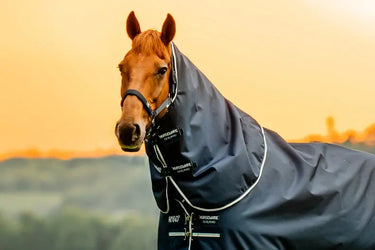 Horseware Ireland Amigo Ripstop 900D Turnout Rug Hood 150G Witney Navy| Online For Equine