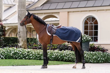 Horseware Ireland Amigo Ripstop Exercise Sheet| Online For Equine