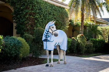 Horseware Ireland Amigo Ripstop Hoody Azure Blue / Navy & Electric Blue| Online For Equine