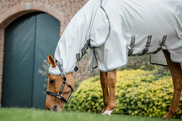 Horseware Ireland Amigo Ripstop Hoody Silver / Titanium Grey & Silver| Online For Equine