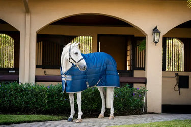 Horseware Ireland Amigo Ripstop Insulator 350G Stable Rug| Online For Equine