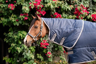 Horseware Ireland Amigo Ripstop Insulator Plus Pony Stable Rug 200G| Online For Equine