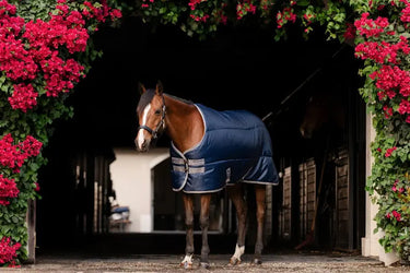 Horseware Ireland Amigo Ripstop Insulator Plus Pony Stable Rug 200G| Online For Equine