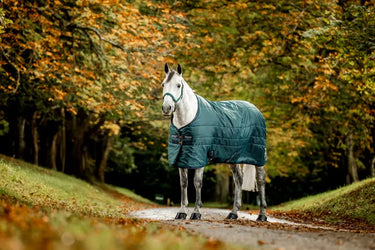 Horseware Ireland Amigo Ripstop Insulator Stable Rug 100G Dynasty Green / Navy & Silver| Online For Equine
