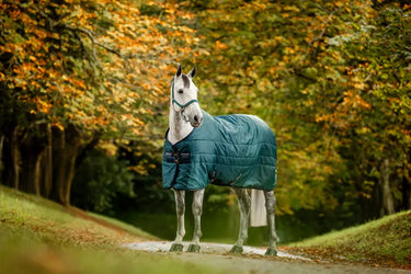 Horseware Ireland Amigo Ripstop Insulator Stable Rug 100G Dynasty Green / Navy & Silver| Online For Equine