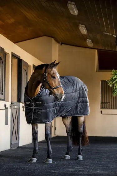 Horseware Ireland Amigo Ripstop Insulator Stable Rug 200G Black / Black & Silver| Online For Equine