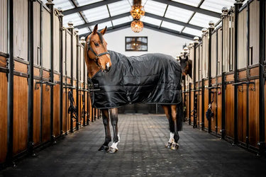 Horseware Ireland Amigo Ripstop Insulator Stable Rug 200G Black / Black & Silver| Online For Equine