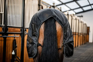 Horseware Ireland Amigo Ripstop Insulator Stable Rug 200G Black / Black & Silver| Online For Equine