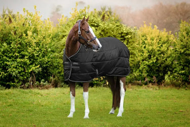 Horseware Ireland Amigo Ripstop Insulator Stable Rug 200G Black / Black & Silver| Online For Equine
