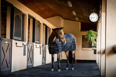 Horseware Ireland Amigo Ripstop Insulator Stable Rug 350G Black / Black & Silver| Online For Equine
