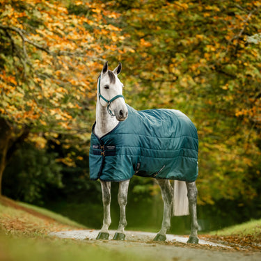 Horseware Ireland Amigo Ripstop Insulator Stable Rug 350G Dynasty Green / Navy & Silver| Online For Equine
